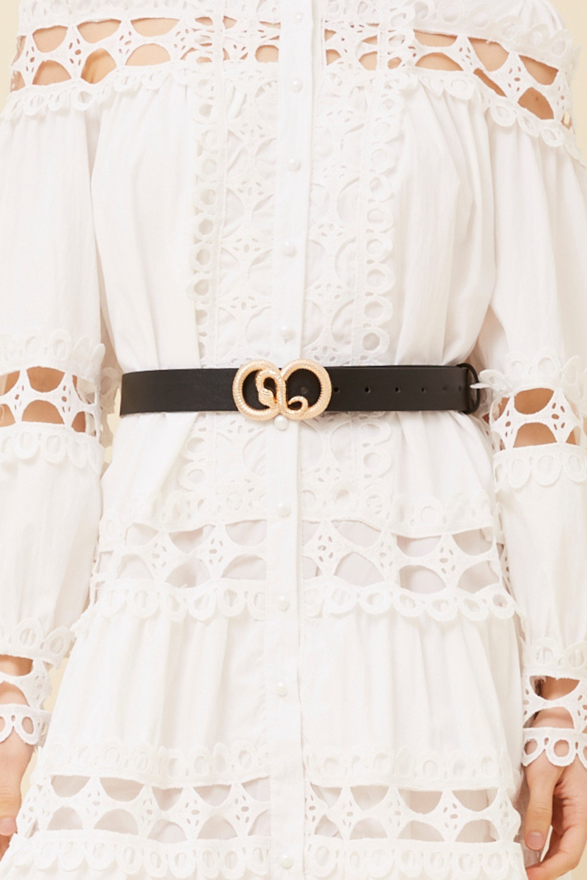 The Snake Belt