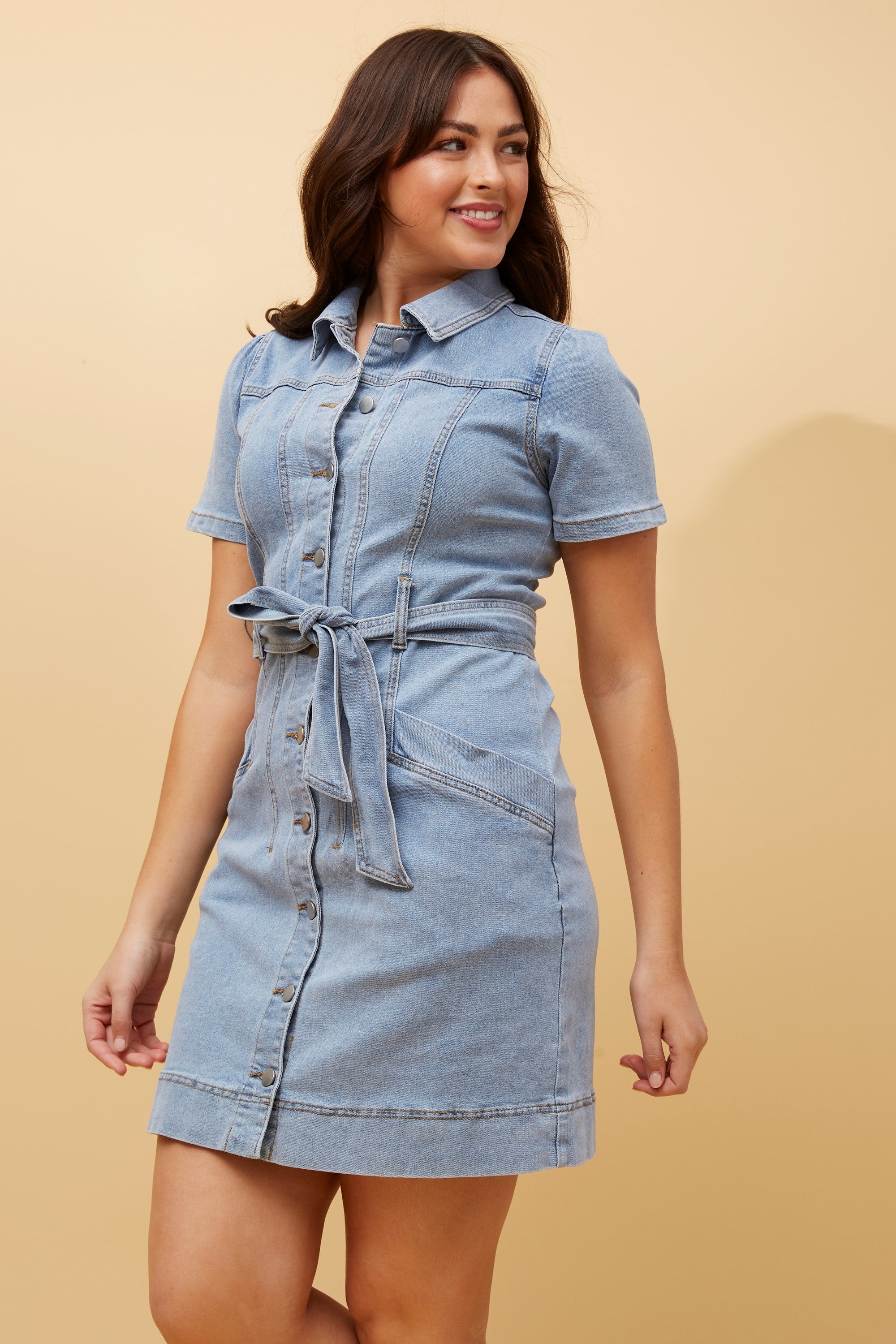 Auren Denim Dress