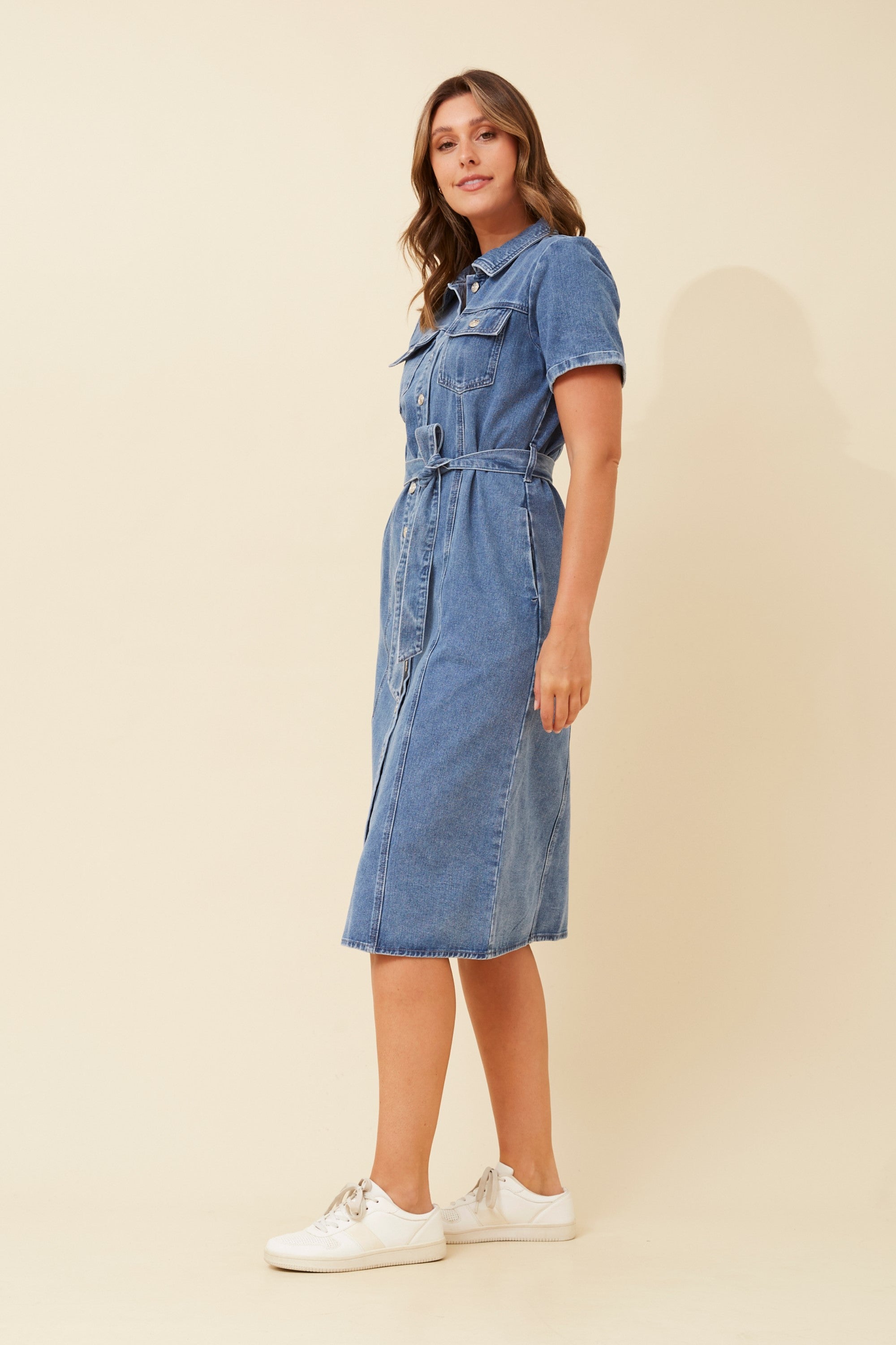 Daydream Denim Dress