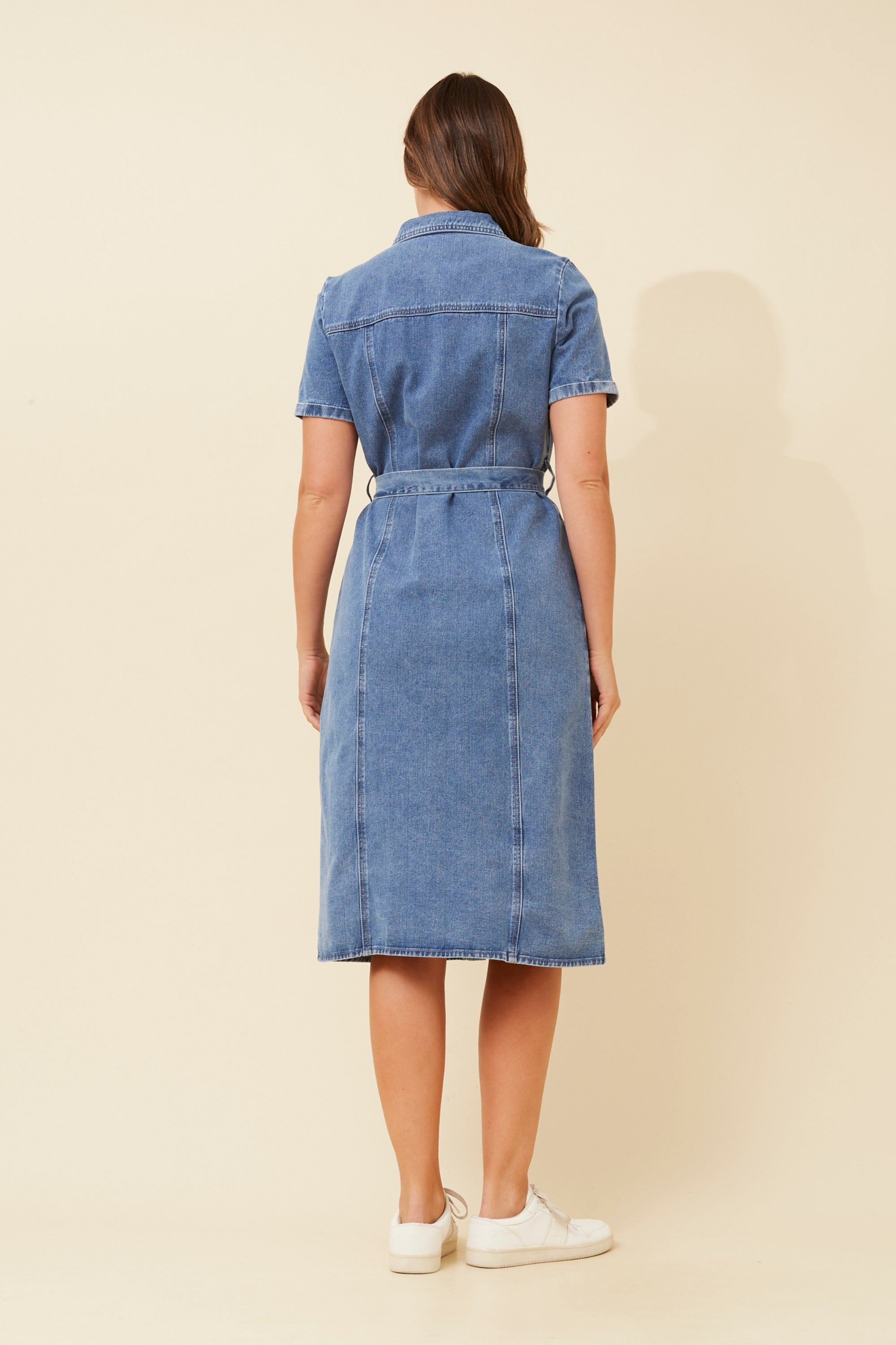 Daydream Denim Dress