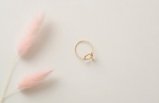 Ottawa Ring