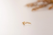 Phillipines Ring