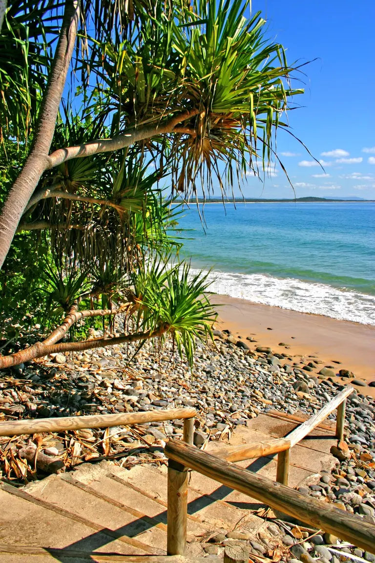 sunshine-coast-_ark_and_arrow.webp